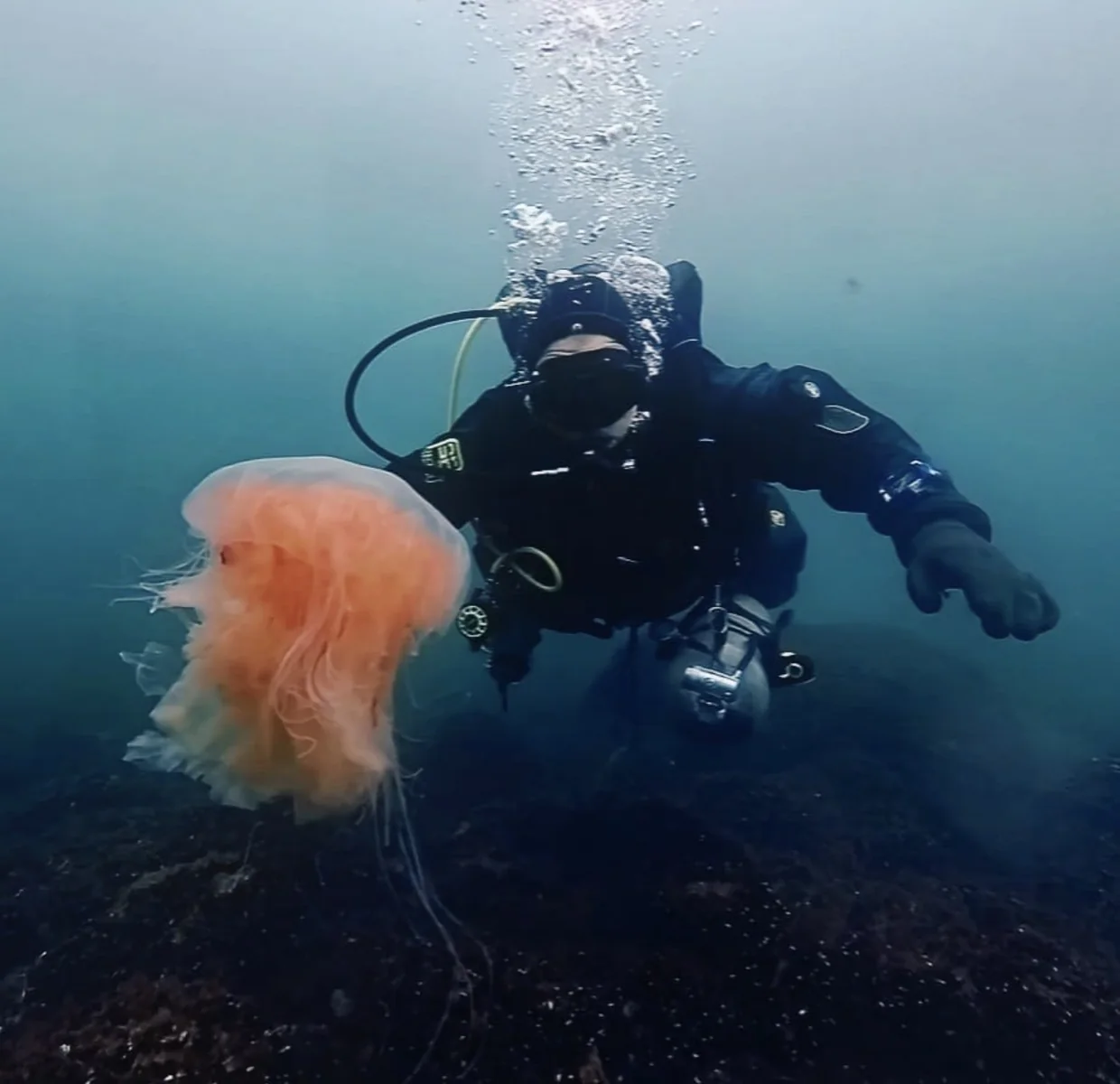 Diver in open water