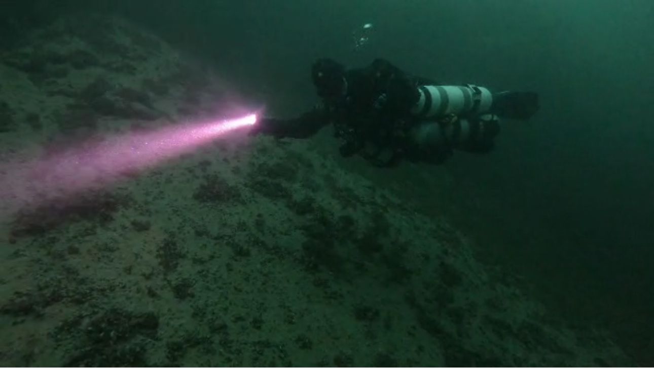 Doppelgerät und Lampe im Grünwasser