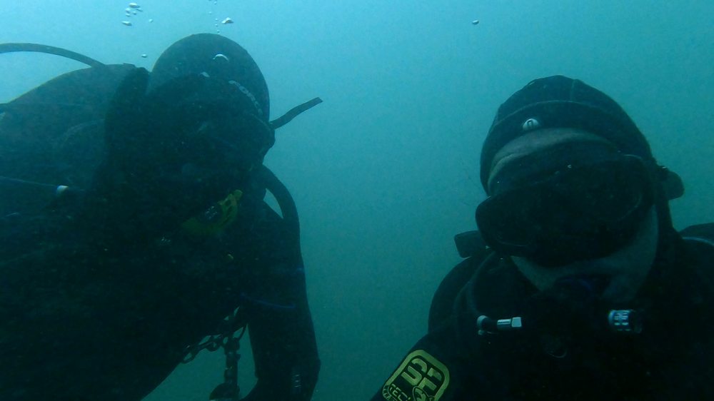Zu zweit im Grünwasser