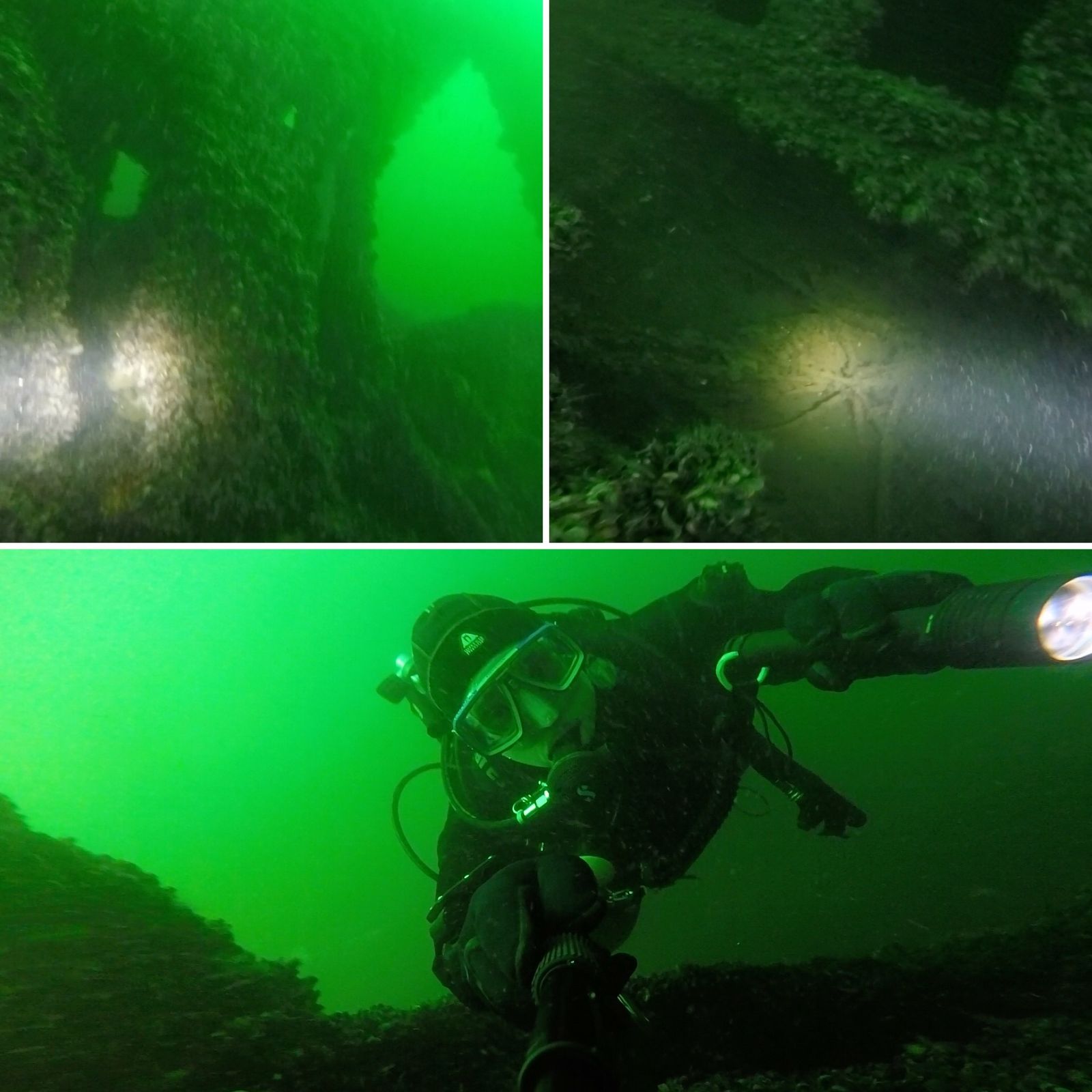 Lampenlicht an der bewachsenen Wand