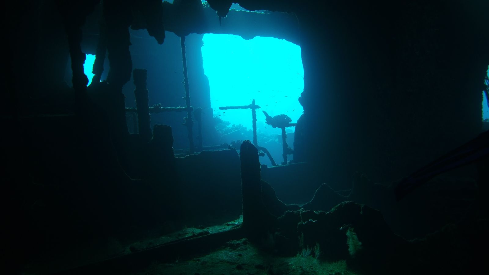 Blick aus dem Wrack ins Blaue